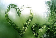 天涯八卦神贴：打开网络迷航者的快乐源泉，那些神贴总能让你哈哈大笑！