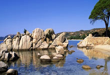 嗨朋友们，今天聊聊天涯九哥的神贴吧，那些年我们在天涯论坛上看到的奇妙故事。